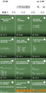 抖音图文搬运项目，只要肯干轻松日入几百起-柚子资源网