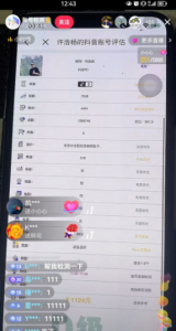 抖音权重查询项目，半无人直播，单人日赚1000+-柚子资源网
