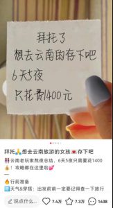 不起眼的旅游中介项目，别人在闷声发财！-柚子资源网
