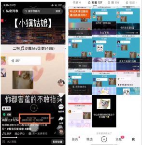 抖音唱歌群自动变现项目，利润一天大几百-柚子资源网