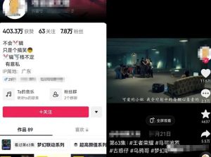 极限反差混剪影视作品项目，超级火爆的疯狂玩法-柚子资源网