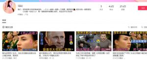 被人遗忘的土味视频搞钱玩法，每天最少几百收入-柚子资源网