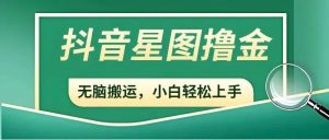 抖音赚钱新手必读：开通星图，参与商务推广任务，轻松增加收益！-柚子资源网