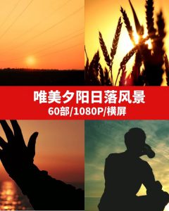 唯美夕阳日落风景视频素材--柚子资源网