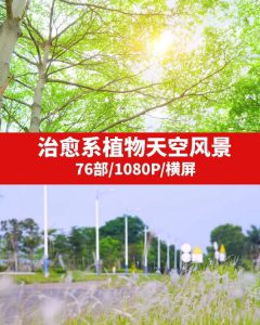 治愈系植物天空风景视频素材-柚子资源网