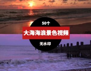 大海海浪沙滩风景视频素材-柚子资源网