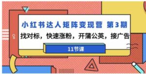 （9203期）小红书达人矩阵变现营第3期，找对标，快速涨粉，开蒲公英，接广告-11节课-柚子资源网