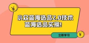 （9189期）拼多多培训第33期：小众蓝海选品2.0技术-蓝海选品实操！-柚子资源网