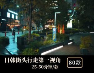 日韩城市街头行走第一视角素材-柚子资源网