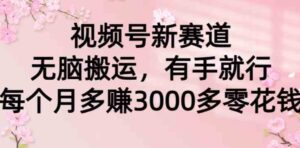 （9278期）视频号新赛道，无脑搬运，有手就行，每个月多赚3000多零花钱-柚子资源网