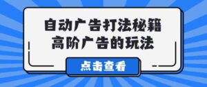 （9298期）Alice自动广告打法秘籍，高阶广告的玩法-柚子资源网