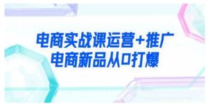 （9313期）电商实战课运营+推广，电商新品从0打爆（99节视频课）-柚子资源网
