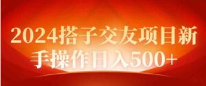 （9345期）2024同城交友项目新手操作日入500+-柚子资源网