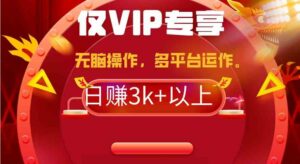 （9377期）2024年最新一键多平台带货，这么简单无脑的操作日入3k+你玩过吗？几分钟…-柚子资源网
