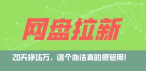 （9373期）网盘拉新+私域全自动玩法，0粉起号，小白可做，当天见收益，已测单日破5000-柚子资源网