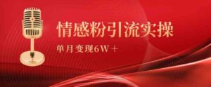 （9473期）单月变现6w+，情感粉引流变现实操课-柚子资源网