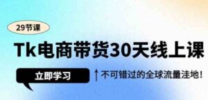 （9463期）Tk电商带货30天线上课，不可错过的全球流量洼地（29节课）-柚子资源网
