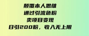 （9523期）颠覆本人思维，通过引流色粉，卖项目变现，日引200粉，收入无上限-柚子资源网