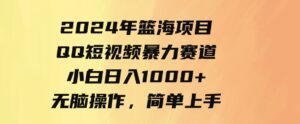9532期）2024年篮海项目，QQ短视频暴力赛道，小白日入1000+，无脑操作，简单上手。-柚子资源网