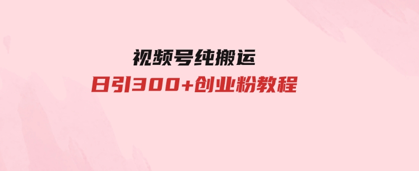 视频号纯搬运日引300+创业粉教程！-柚子资源网