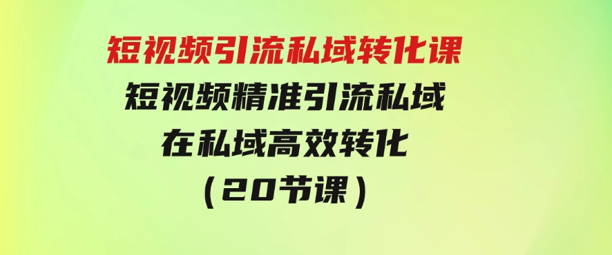 短视频引流私域转化课，短视频精准引流私域，在私域高效转化（20节课）-柚子资源网
