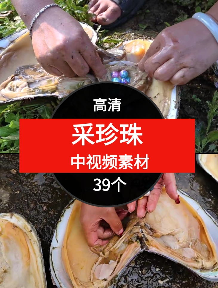 采珍珠视频素材-柚子资源网