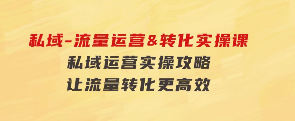 私域-流量运营&转化实操课：私域运营实操攻略让流量转化更高效-柚子资源网