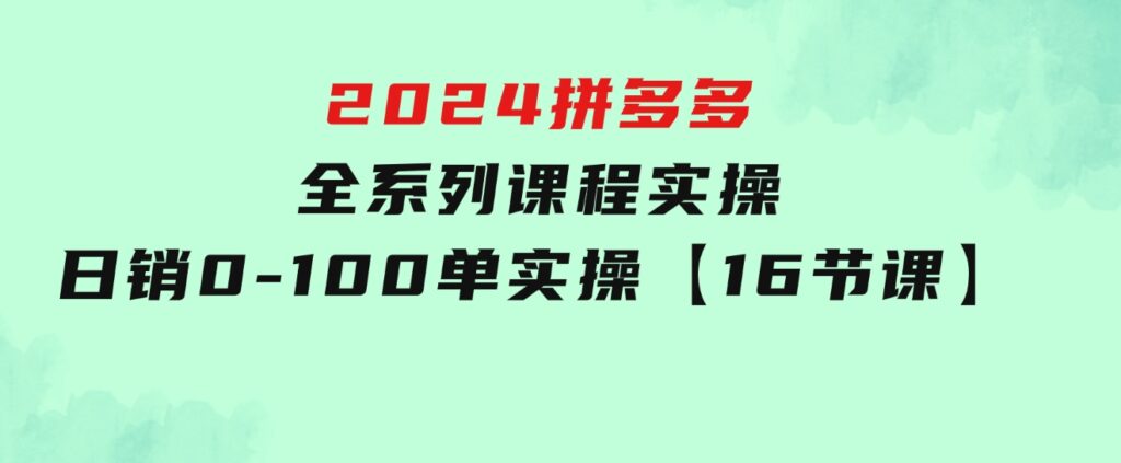 2024拼多多全系列课程实操，日销0-100单实操【16节课】-柚子资源网