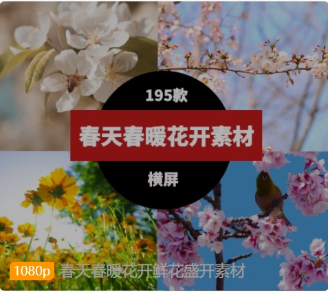春天春暖花开鲜花盛开素材-柚子资源网