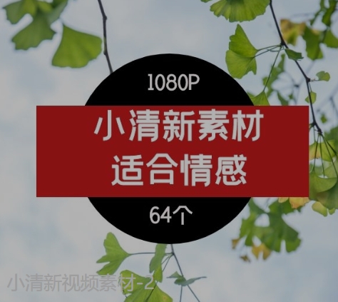 小清新视频素材-2-柚子资源网