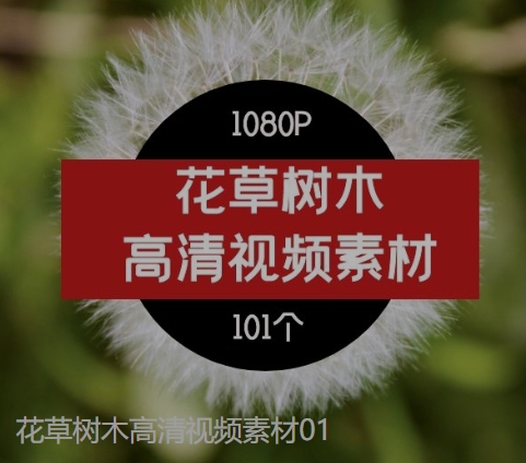 花草树木高清视频素材01-柚子资源网