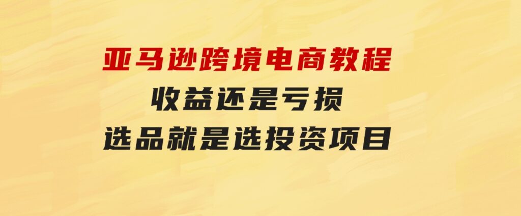 亚马逊跨境电商教程：收益还是亏损！选品就是选投资项目-柚子资源网