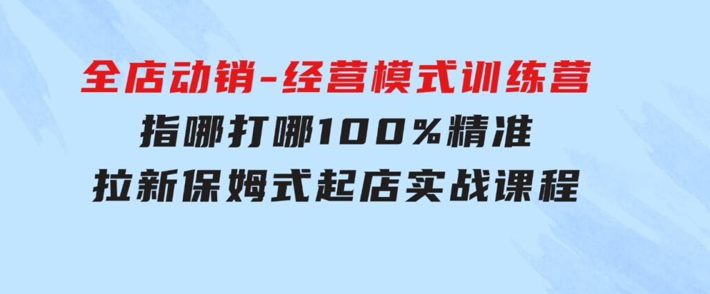 全店动销-经营模式训练营，指哪打哪100%精准拉新保姆式起店实战课程-柚子资源网