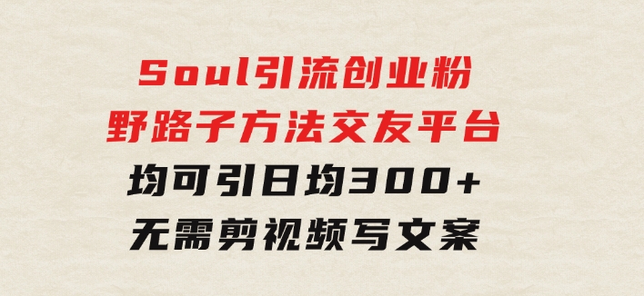 Soul引流创业粉野路子方法，交友平台均可引日均300+，无需剪视频写文案-柚子资源网