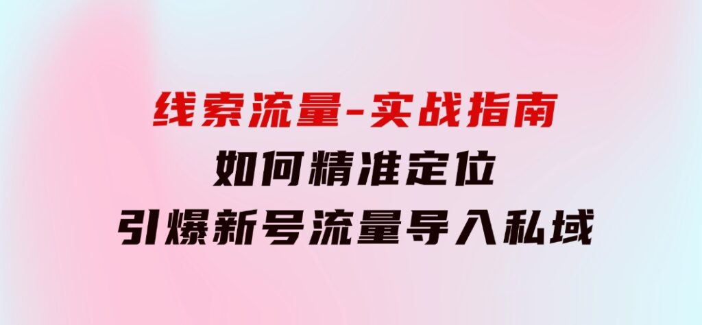 线索流量-实战指南：如何精准定位，引爆新号流量，导入私域-柚子资源网