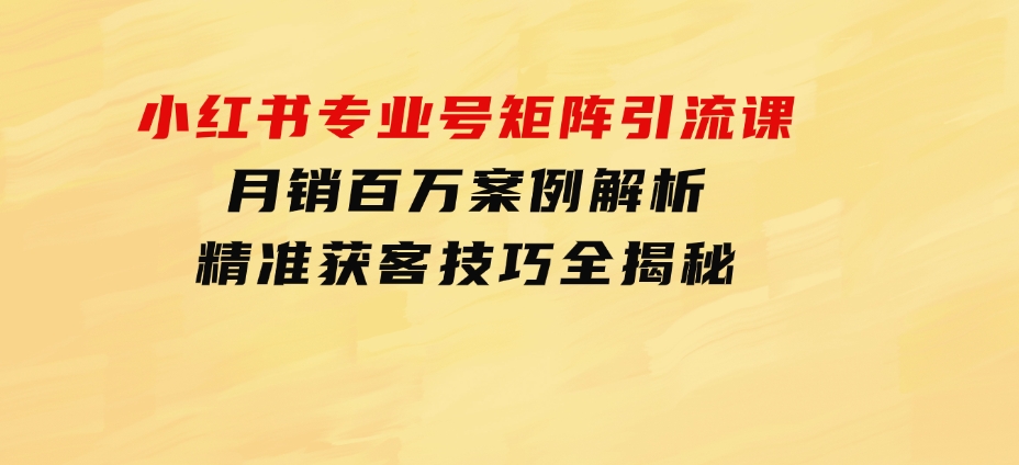 小红书专业号矩阵引流课，月销百万案例解析，精准获客技巧全揭秘-柚子资源网