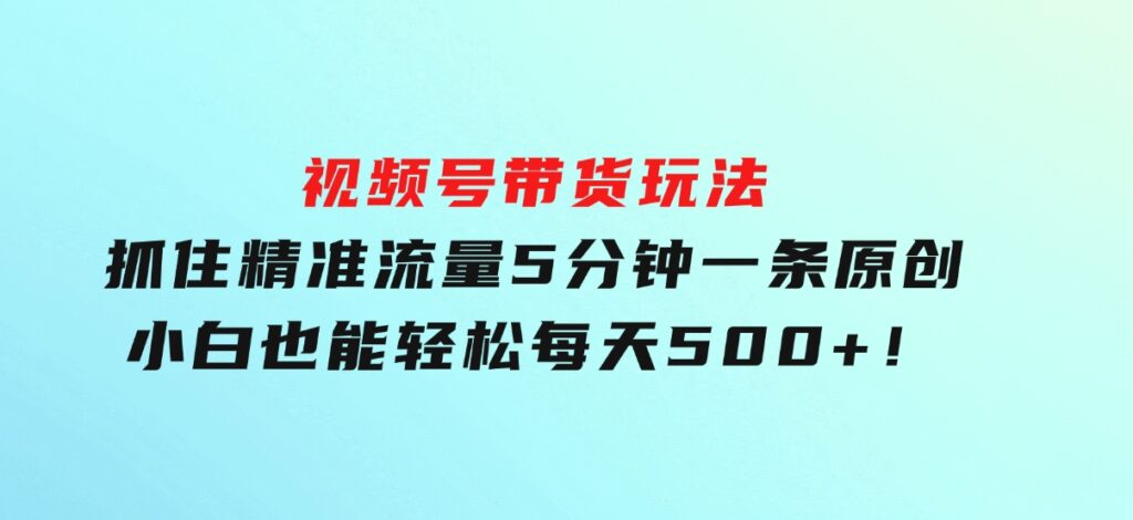 视频号带货玩法，抓住精准流量，5分钟一条原创，小白也能轻松每天500+！-柚子资源网