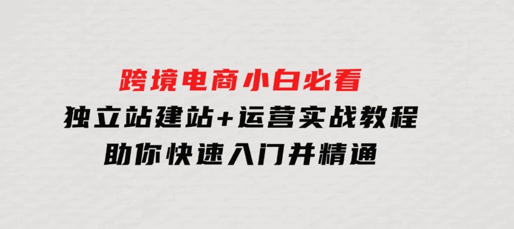 跨境电商小白必看！独立站建站+运营实战教程，助你快速入门并精通-柚子资源网