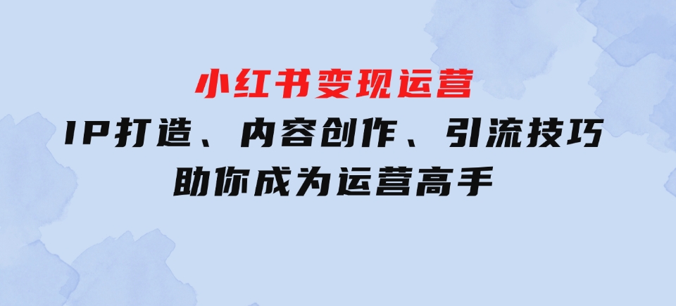 IP打造、内容创作、引流技巧助你成为运营高手-柚子资源网