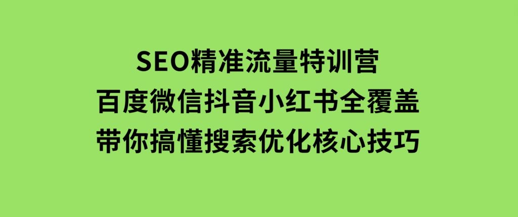 SEO精准流量特训营，百度微信抖音小红书全覆盖，带你搞懂搜索优化核心技巧-柚子资源网