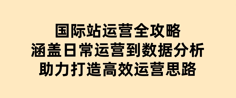 国际站运营全攻略：涵盖日常运营到数据分析，助力打造高效运营思路-柚子资源网