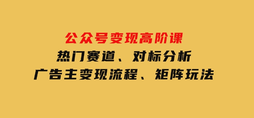 公众号变现高阶课：热门赛道、对标分析、广告主变现流程、矩阵玩法-柚子资源网