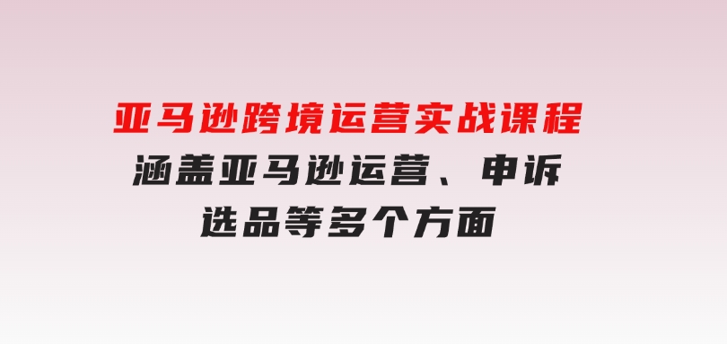 亚马逊跨境运营实战课程：涵盖亚马逊运营、申诉、选品等多个方面-柚子资源网
