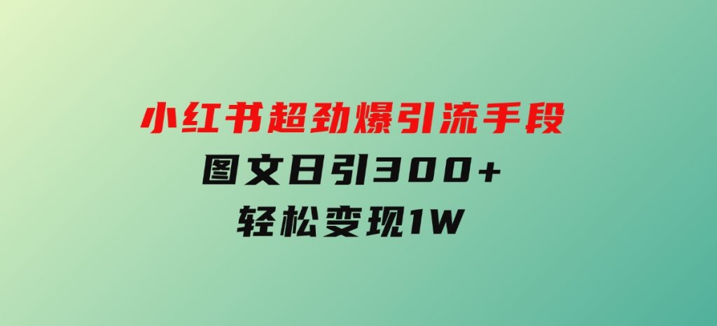 小红书超劲爆引流手段，图文日引300+轻松变现1W-柚子资源网