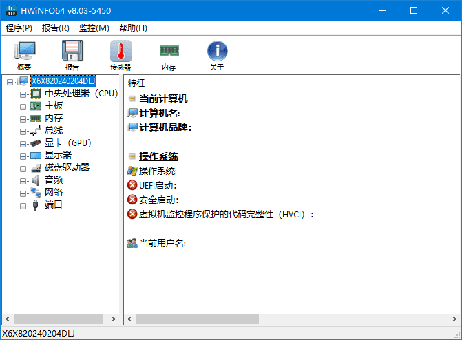HWiNFO(专业系统信息检测工具)v8.21.5650中文绿色版-柚子资源网