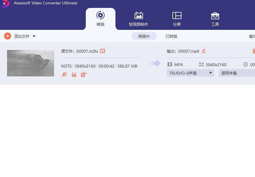 AiseesoftVideoConverter10.8.66(视频转换)绿色版-柚子资源网