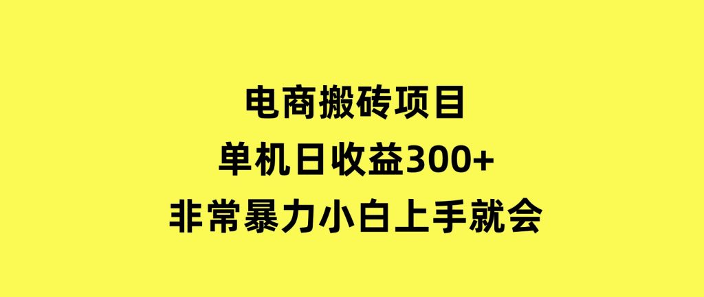 电商搬砖项目，单机日收益300+，非常暴力，小白上手就会-柚子资源网