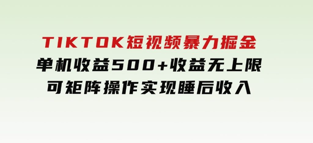 TIKTOK短视频暴力掘金单机收益500+收益无上限可矩阵操作实现睡后收入-柚子资源网