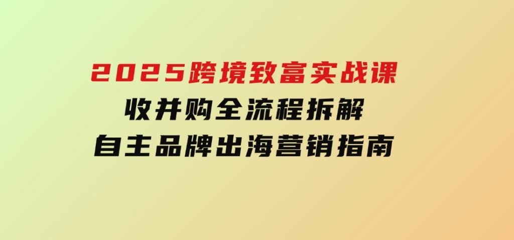2025跨境致富实战课，收并购全流程拆解，自主品牌出海营销指南-柚子资源网