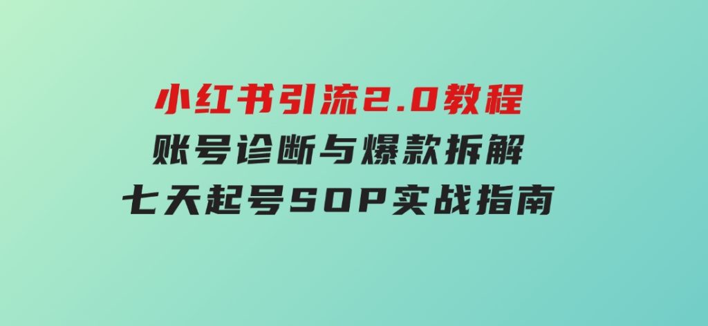 小红书引流2.0教程，账号诊断与爆款拆解，七天起号SOP实战指南-柚子资源网